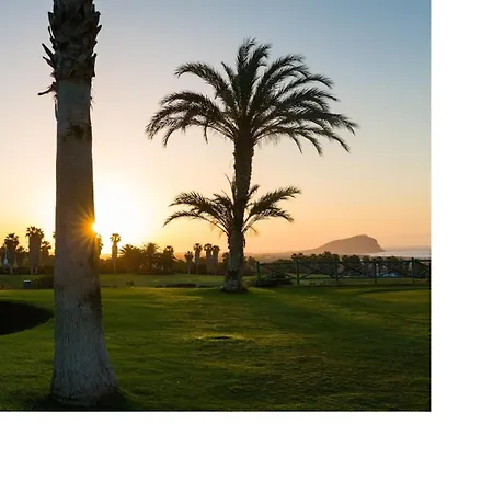 Birdie San Miguel de Abona