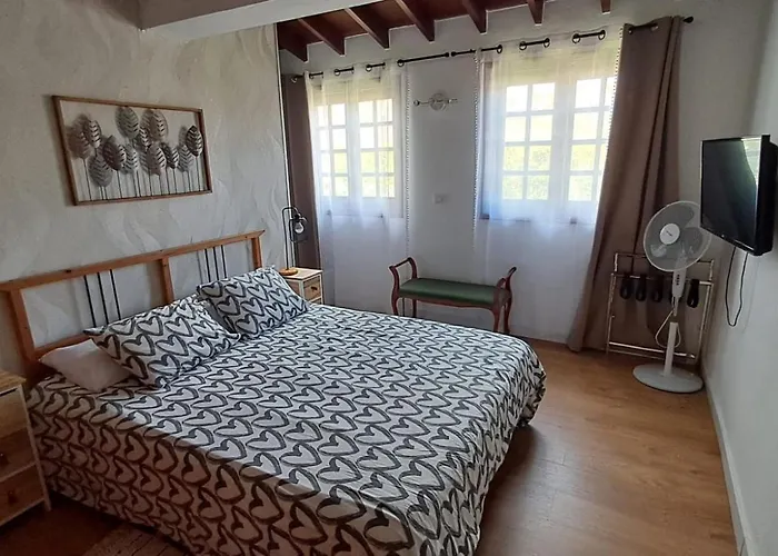 بيت للعطل Birdie *