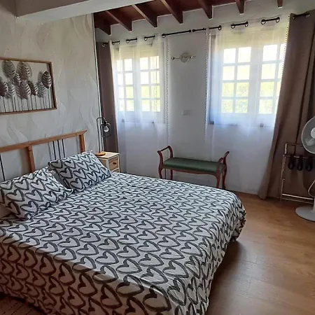 Сasa de vacaciones Birdie *