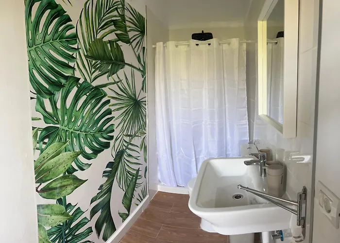 Дом отдыха Birdie Сан Мигель