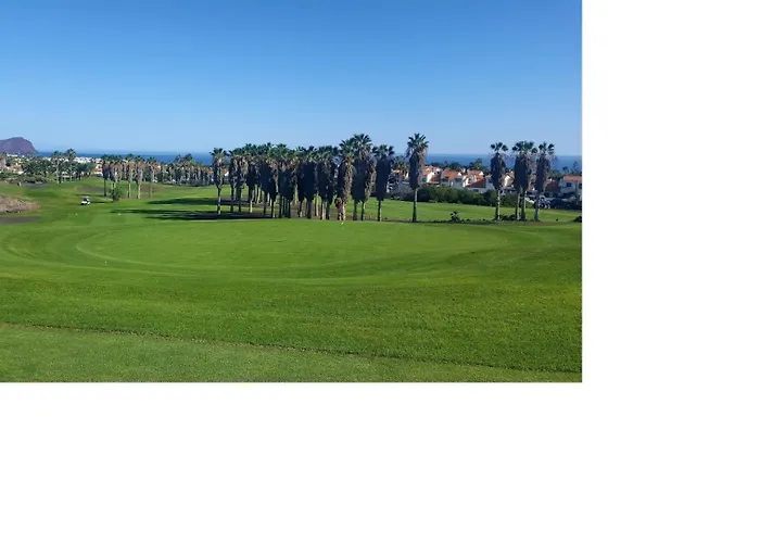 Birdie * San Miguel de Abona