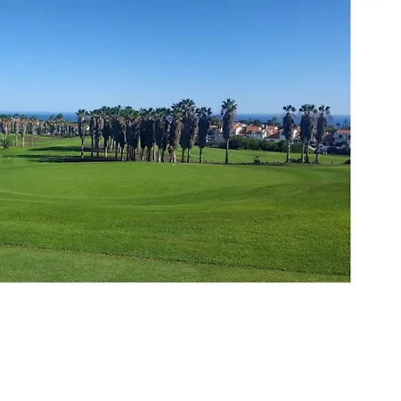 Birdie * San Miguel de Abona